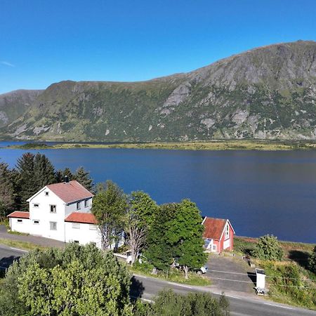 Wildlife Panorama Lofoten Bostad Kültér fotó