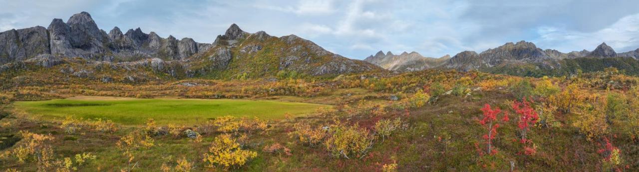 Wildlife Panorama Lofoten Bostad Kültér fotó