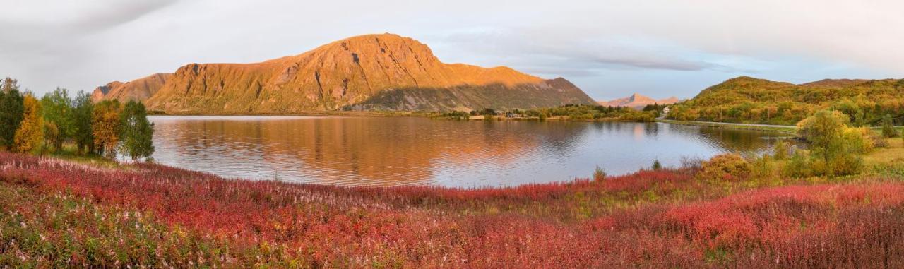 Wildlife Panorama Lofoten Bostad Kültér fotó