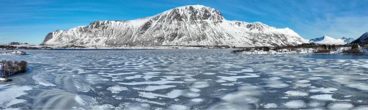 Wildlife Panorama Lofoten Bostad Kültér fotó