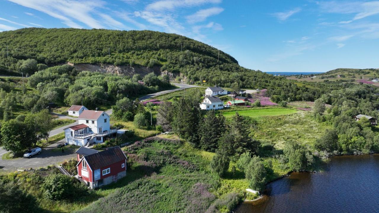 Wildlife Panorama Lofoten Bostad Kültér fotó