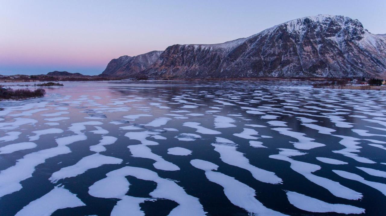 Wildlife Panorama Lofoten Bostad Kültér fotó