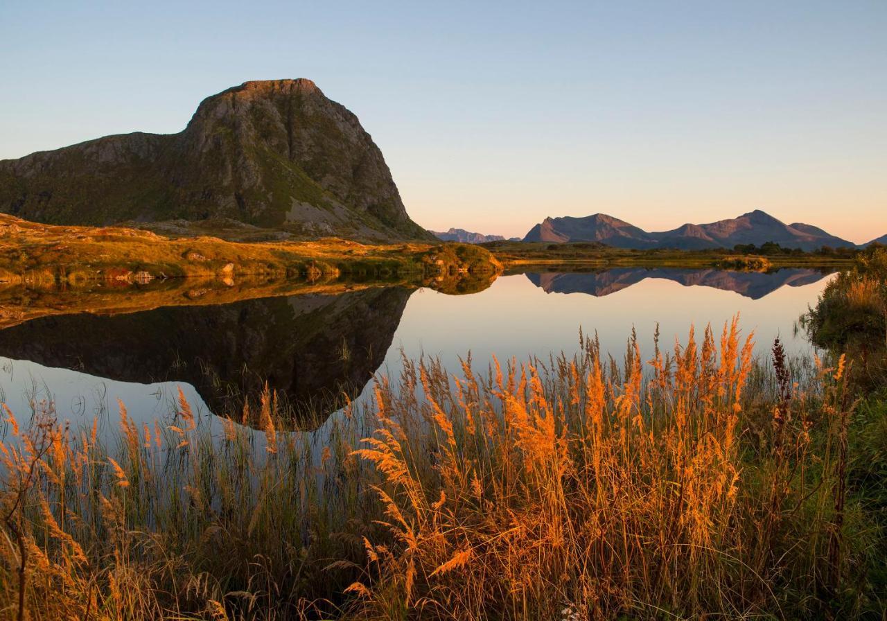 Wildlife Panorama Lofoten Bostad Kültér fotó